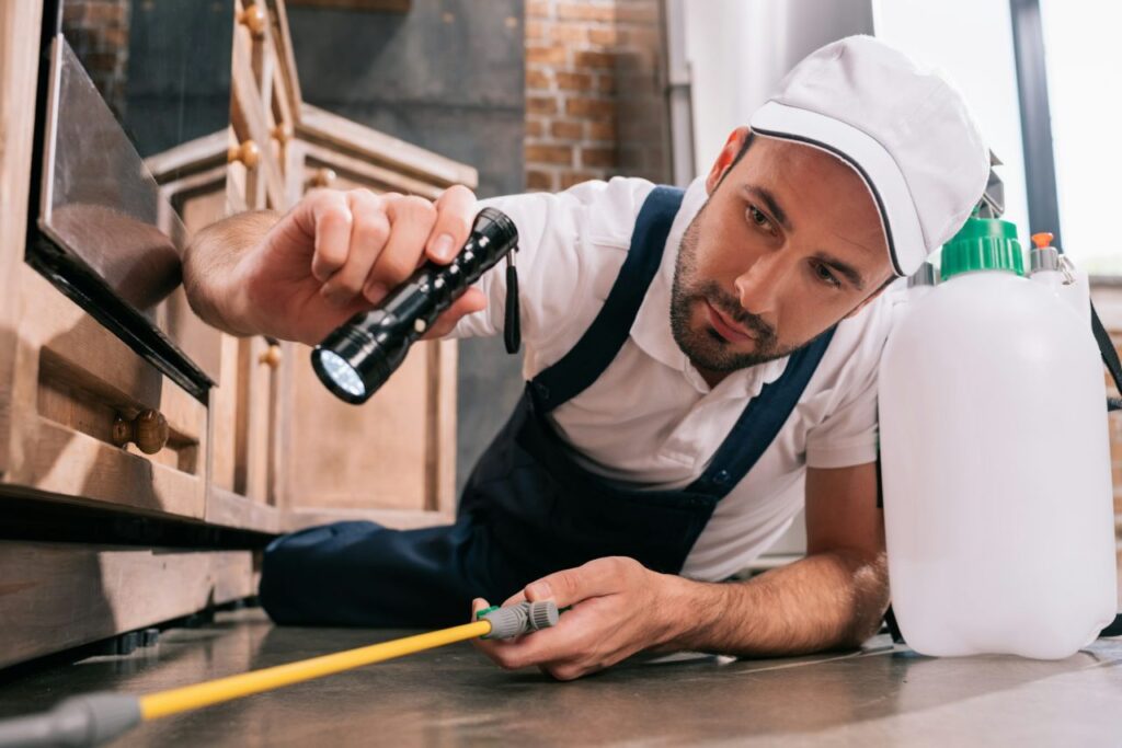 pest-control-worker-lying-on-floor-and-spraying-pesticides-in-kitchen.jpg