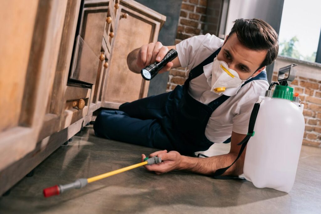 pest-control-worker-spraying-pesticides-under-cabinet-in-kitchen-and-using-flashlight.jpg