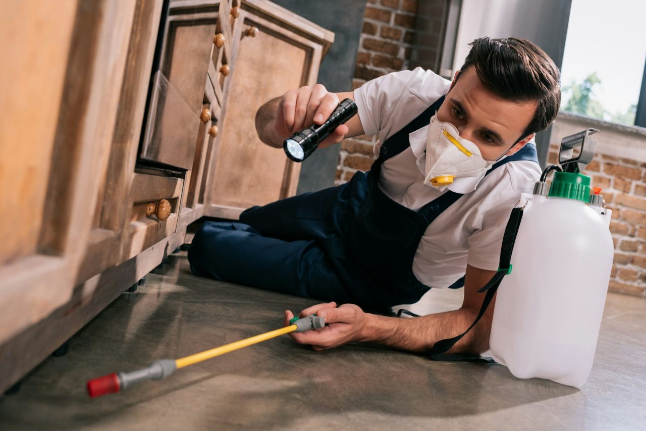 pest-control-worker-spraying-pesticides-under-cabinet-in-kitchen-and-using-flashlight.jpg