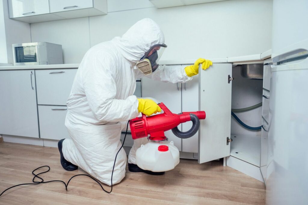 white-worker-spraying-pesticide-on-induction-hob.jpg